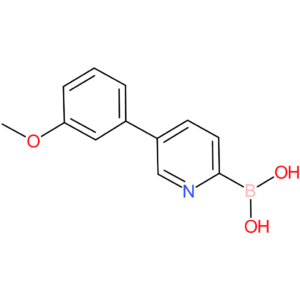 b-[5-(3-methoxyphenyl)-2-pyridinyl]-boronic acid