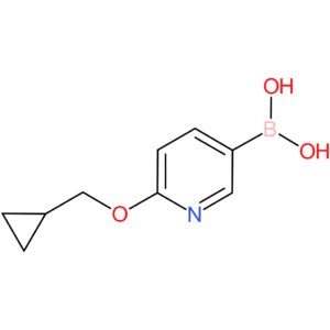 2-(cyclopropylmethoxy)pyridine-5-boronic acid