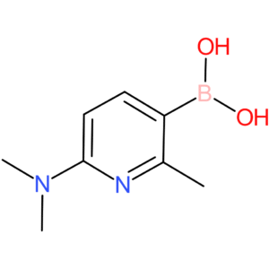 6-(dimethylamino)-2-methylpyridine-3-boronic acid