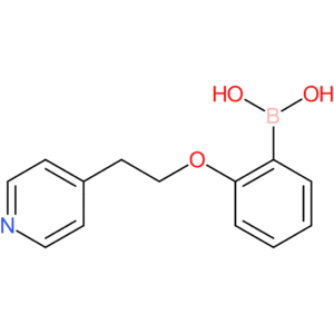 (2-[2-(pyridin-4-yl)ethoxy]phenyl)boronic acid