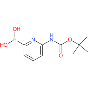 6-(t-butoxycarbonylamino)-pyridine-2-boronic acid