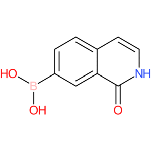 1-oxo-1,2-dihydroisoquinolin-7-ylboronic acid