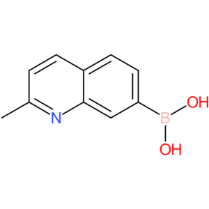 2-methylquinolin-7-ylboronic acid
