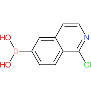 1-chloroisoquinolin-6-boronic acid