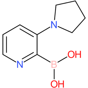 3-pyrrolidinylpyridine-2-boronic acid
