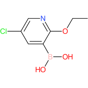 5-chloro-2-ethoxypyridine-3-boronic acid
