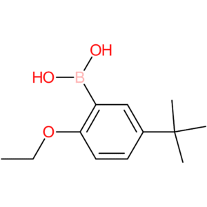 5-tert-butyl-2-ethoxyphenylboronic acid