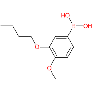 3-butoxy-4-methoxyphenylboronic acid