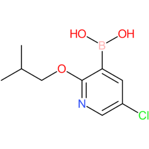 5-chloro-2-isobutoxypyridine-3-boronic acid