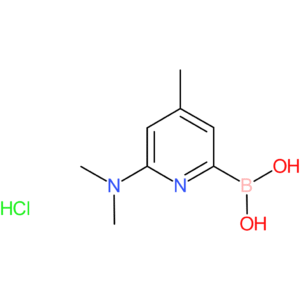 6-(dimethylamino)-4-methylpyridin-2-yl-2-boronic acid hydrochloride
