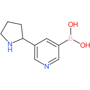 b-[5-(2-pyrrolidinyl)-3-pyridinyl]boronic acid
