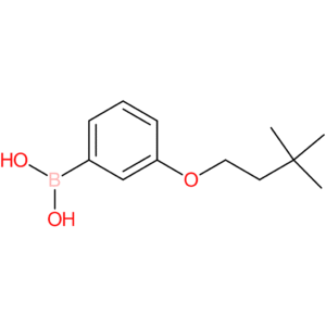 [3-(3,3-dimethylbutoxy)phenyl]boronic acid