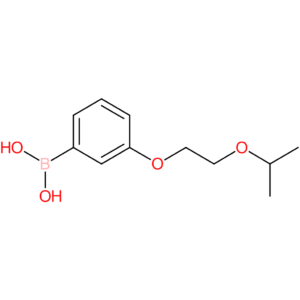 (3-[2-(propan-2-yloxy)ethoxy]phenyl)boronic acid