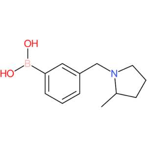 (3-[(2-methylpyrrolidin-1-yl)methyl]phenyl)boronic acid