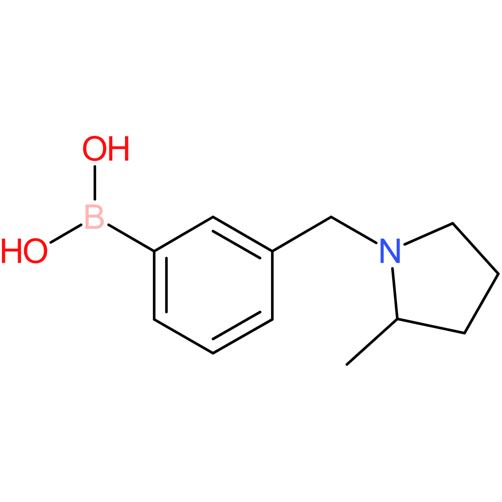 (3-[(2-methylpyrrolidin-1-yl)methyl]phenyl)boronic acid