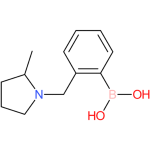 (2-[(2-methylpyrrolidin-1-yl)methyl]phenyl)boronic acid