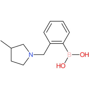 (2-[(3-methylpyrrolidin-1-yl)methyl]phenyl)boronic acid