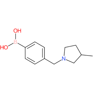 (4-[(3-methylpyrrolidin-1-yl)methyl]phenyl)boronic acid