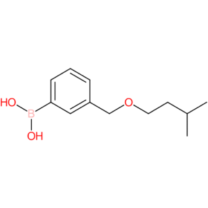 (3-[(3-methylbutoxy)methyl]phenyl)boronic acid