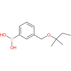 (3-([(2-methylbutan-2-yl)oxy]methyl)phenyl)boronic acid