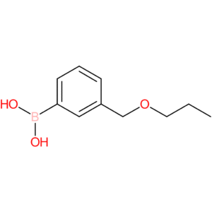 [3-(propoxymethyl)phenyl]boronic acid