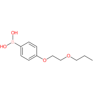 4-(2-propoxyethoxy)phenylboronic acid