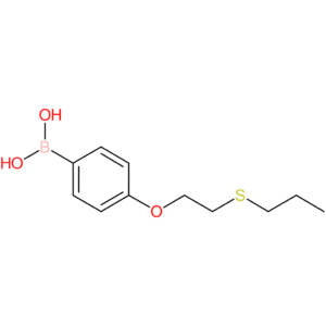 (4-[2-(propylsulfanyl)ethoxy]phenyl)boronic acid