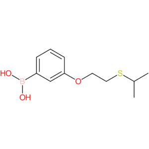 (3-[2-(propan-2-ylsulfanyl)ethoxy]phenyl)boronic acid