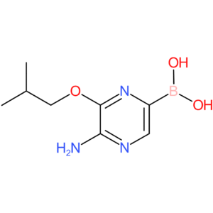 5-amino-6-isobutoxy-pyrazine-2-boronic acid
