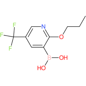 2-propoxy-5-(trifluoromethyl)pyridine-3-boronic acid
