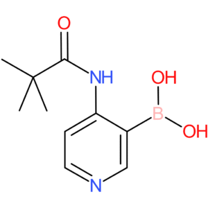 4-pivalamidopyridine-3-boronic acid