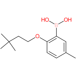 [2-(3,3-dimethylbutoxy)-5-methylphenyl]boronic acid