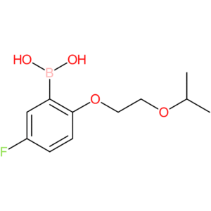 (5-fluoro-2-[2-(propan-2-yloxy)ethoxy]phenyl)boronic acid