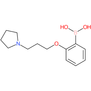 (2-[3-(pyrrolidin-1-yl)propoxy]phenyl)boronic acid