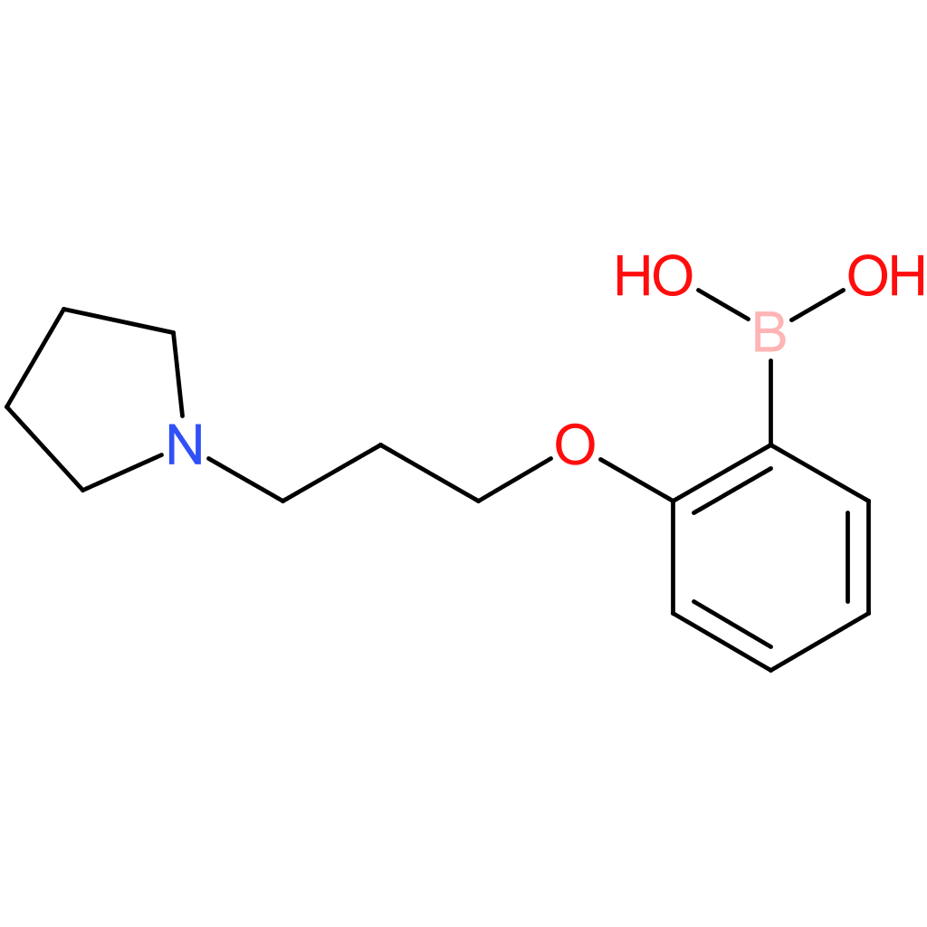(2-[3-(pyrrolidin-1-yl)propoxy]phenyl)boronic acid