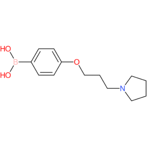 4-(3-(pyrrolidin-1-yl)propoxy)phenylboronic acid
