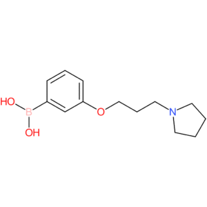 (3-(3-(pyrrolidin-1-yl)propoxy)phenyl)boronic acid