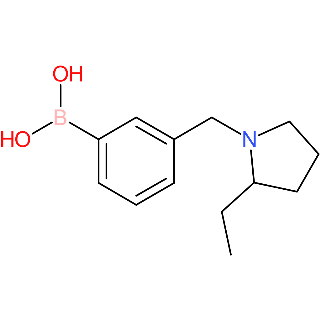 (3-[(2-ethylpyrrolidin-1-yl)methyl]phenyl)boronic acid