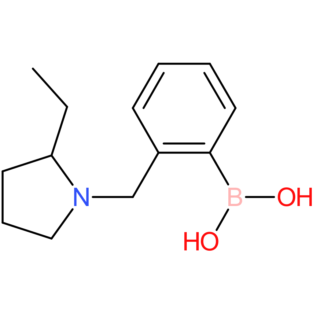 (2-[(2-ethylpyrrolidin-1-yl)methyl]phenyl)boronic acid
