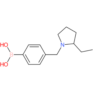 (4-[(2-ethylpyrrolidin-1-yl)methyl]phenyl)boronic acid