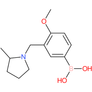 (4-methoxy-3-[(2-methylpyrrolidin-1-yl)methyl]phenyl)boronic acid