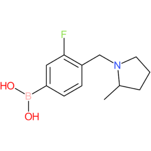 (3-fluoro-4-[(2-methylpyrrolidin-1-yl)methyl]phenyl)boronic acid
