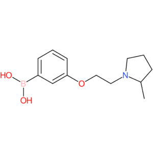 (3-[2-(2-methylpyrrolidin-1-yl)ethoxy]phenyl)boronic acid