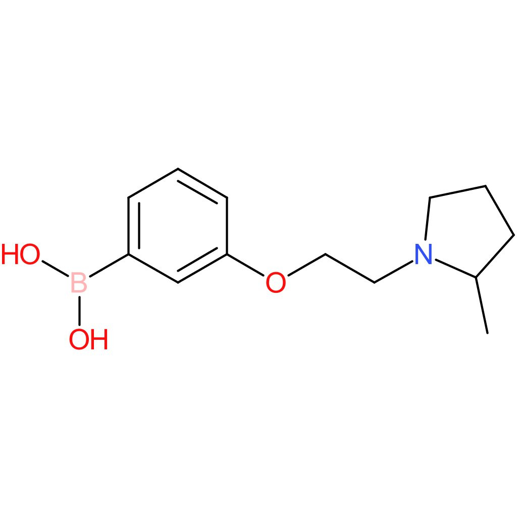 (3-[2-(2-methylpyrrolidin-1-yl)ethoxy]phenyl)boronic acid