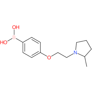 (4-[2-(2-methylpyrrolidin-1-yl)ethoxy]phenyl)boronic acid