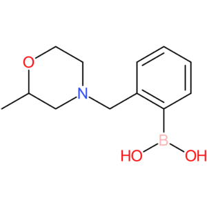 (2-[(2-methylmorpholin-4-yl)methyl]phenyl)boronic acid