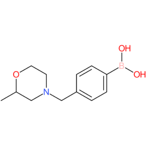 (4-[(2-methylmorpholin-4-yl)methyl]phenyl)boronic acid