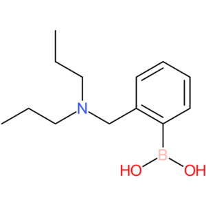 (2-[(dipropylamino)methyl]phenyl)boronic acid