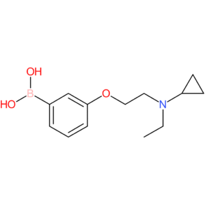 (3-(2-[cyclopropyl(ethyl)amino]ethoxy)phenyl)boronic acid