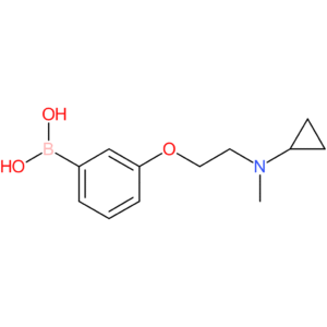 (3-(2-[cyclopropyl(methyl)amino]ethoxy)phenyl)boronic acid